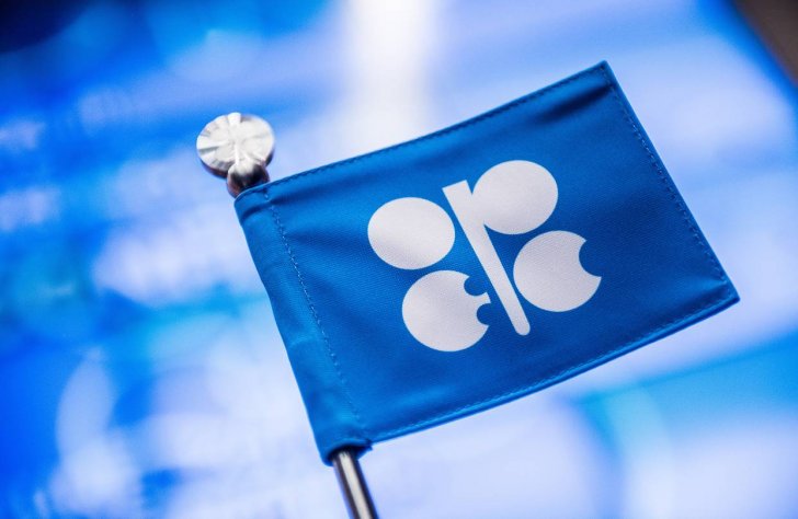 OPEC-in neft hasilatı artıb