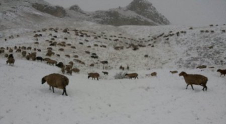 Azərbaycana ilk qar yağıb - 