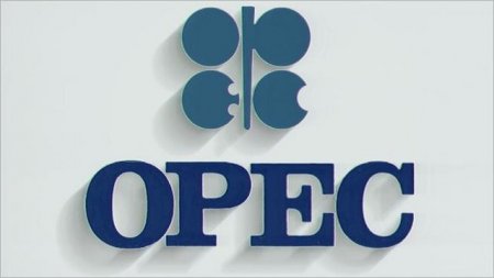 Azərbaycan OPEC-in iclasına qatılacaq