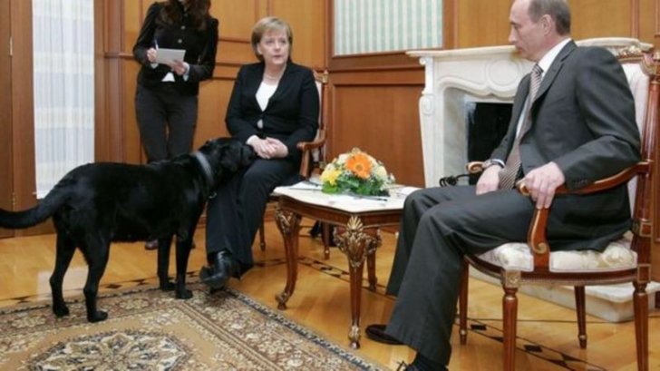 Putin üzr istədi -